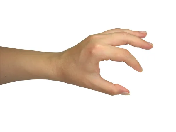 Menselijke dame hand met uw object — Stockfoto