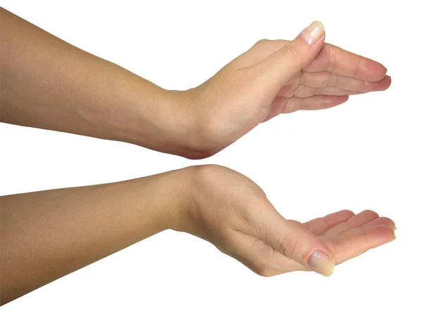 Mänskliga lady händer som håller ditt objekt — Stockfoto