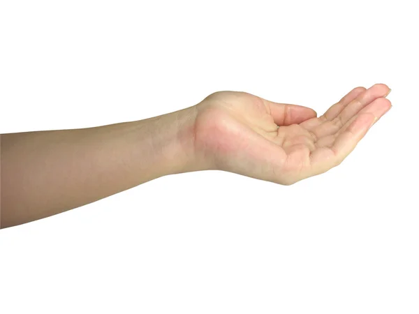 Mänskliga lady hand som håller ditt objekt — Stockfoto
