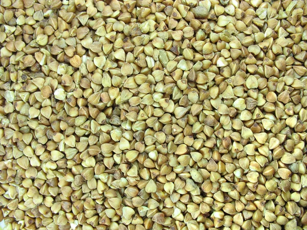 Élelmiszer gabona közelről hajdina — Stock Fotó