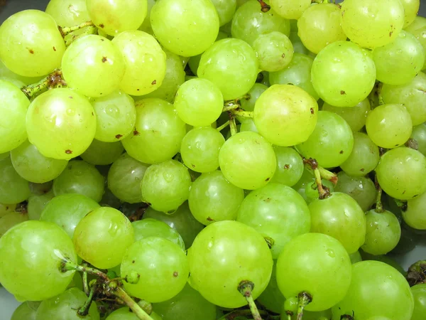 Contexto das uvas verdes frescas — Fotografia de Stock