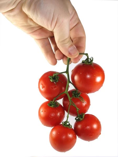 La mano del hombre sostiene un tomate — Foto de Stock