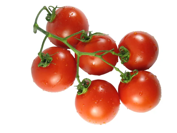 Red tomatos isolated over white — Stock Photo, Image