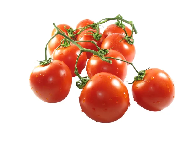 Fresh tomatos over white — Stock Photo, Image