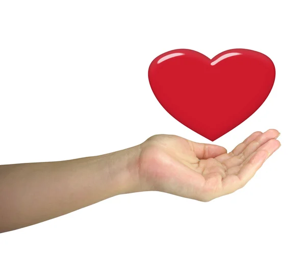 人类的女士只手握住红色的心 — 图库照片
