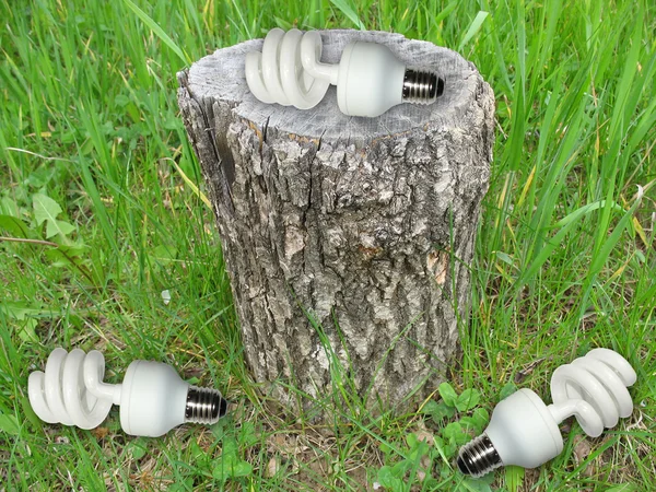Ecological concept light bulbs on stub