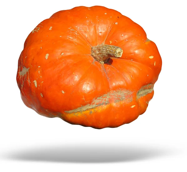 Big orange pumpkin isolated over white — Stock Photo, Image