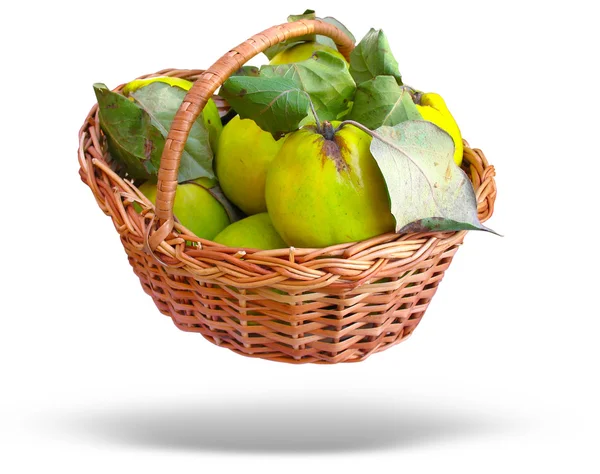 Wicker basket with quince and leaves — Stock Photo, Image