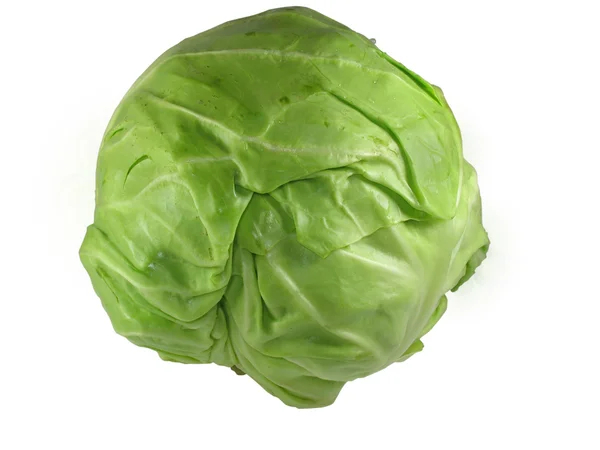 Green cabbage vegetable isolated — Stock Photo, Image