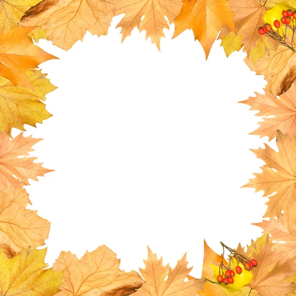 Frame of autumn yellow leaves — Stock Photo, Image