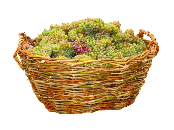 Зелений виноград в дерев'яному кошику ізольований — стокове фото