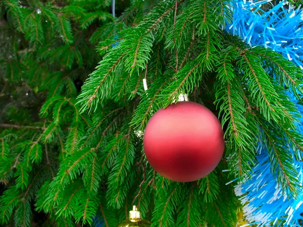 Dettaglio ramo albero di Natale — Foto Stock