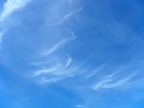 Biru langit musim panas dan putih tinggi cirrus — Stok Foto