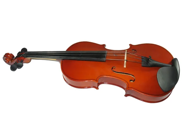 Hudební klasické housle, samostatný — Stock fotografie