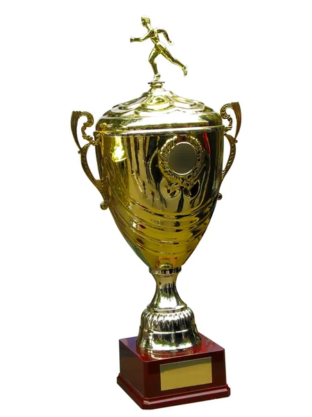 Gold trophy cup on wood pedestal — Stock Photo, Image