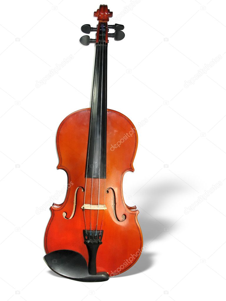 Classic violin with shadow isolated