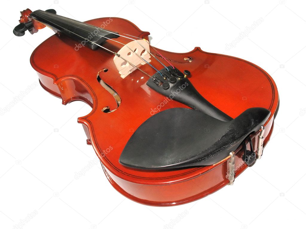 Musical classic violin isolated