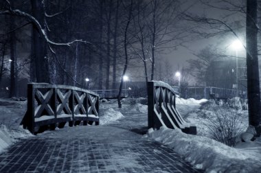 Winter park at night. clipart
