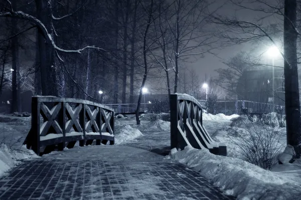Зимний парк ночью . Стоковая Картинка