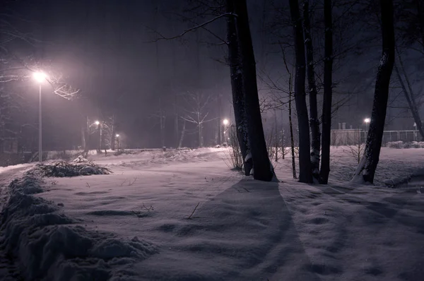 Parque de invierno por la noche . —  Fotos de Stock