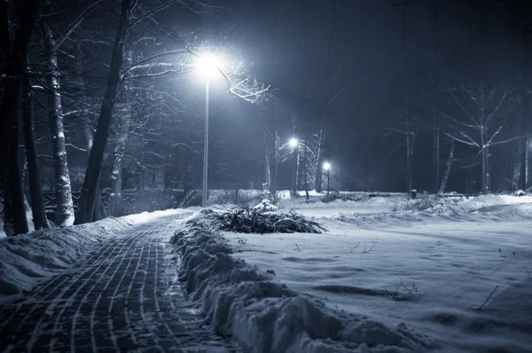 밤에 겨울 공원. — 스톡 사진