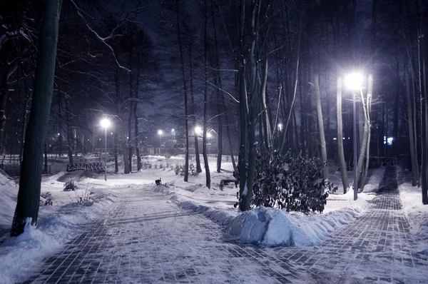 Park zimą w nocy. — Zdjęcie stockowe
