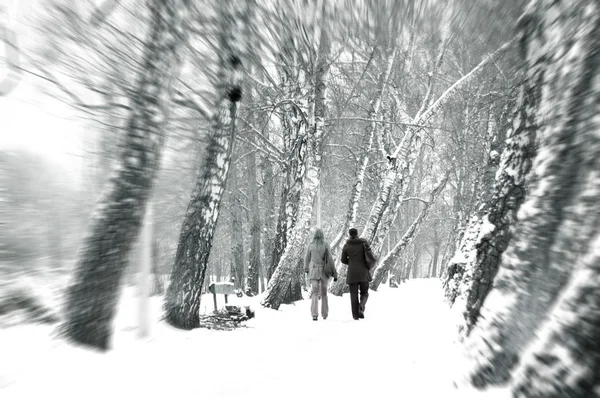 Vintern konceptuell bild. — Stockfoto