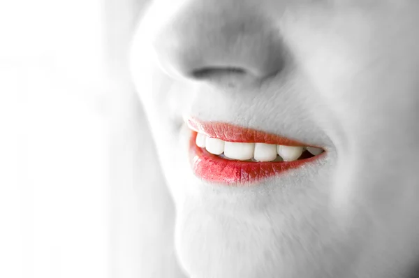 Smile and lips conceptual image. — Stock Photo, Image