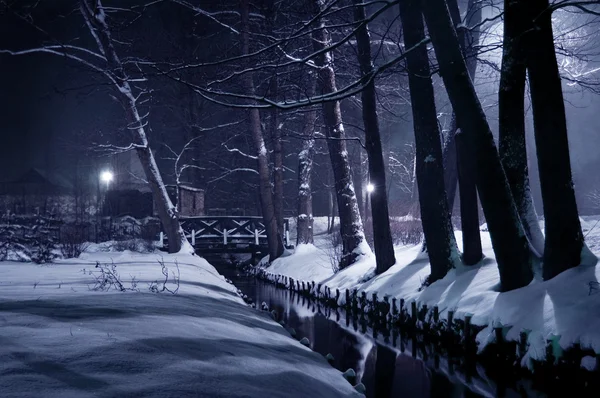 Winterpark bei Nacht. — Stockfoto