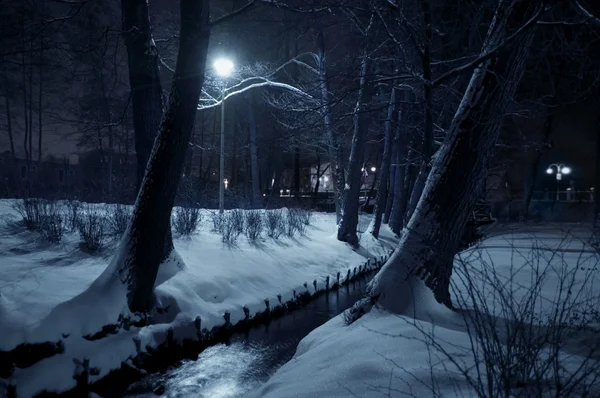 Parco invernale di notte . — Foto Stock
