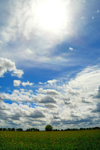 Pole a obloha rámcové obrázek. — Stock fotografie