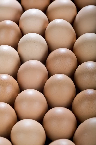 Backgroud delle uova . — Foto Stock