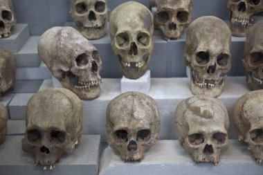 Ancient Skulls clipart