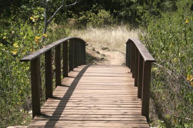 Wooden Bridge clipart