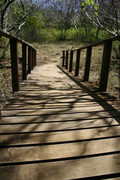 Stock image Wooden Bridge