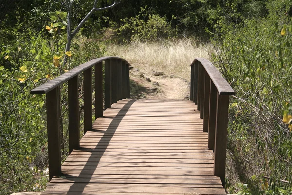 stock image Wooden Bridge