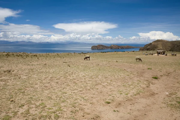 Isla del sol - Titicacameer — Stockfoto