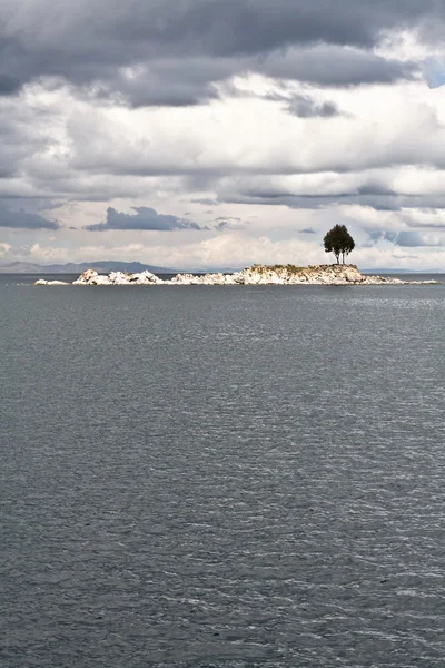 Eenzaam eiland boom Stockafbeelding
