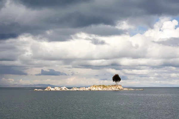 Árbol de isla solitaria — Foto de Stock