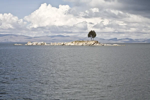 Lonely Island ağaç — Stok fotoğraf