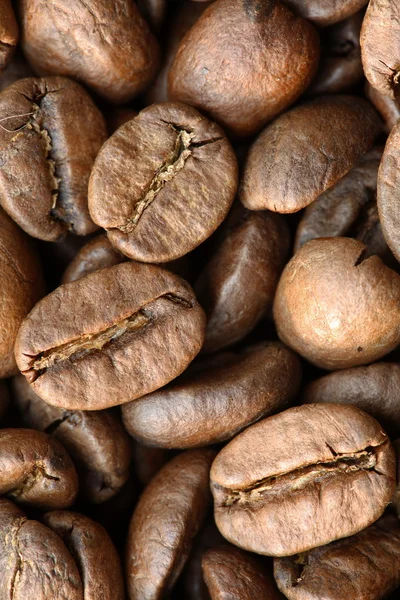 Coffee Grains — Stock Photo, Image