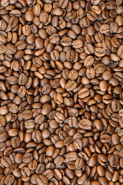 Coffee Grains — Stock Photo, Image