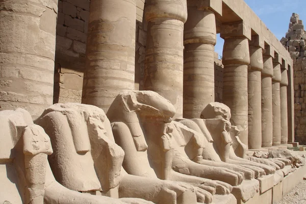 Αίγυπτος σειρά (τα αγάλματα λιοντάρι) — Φωτογραφία Αρχείου