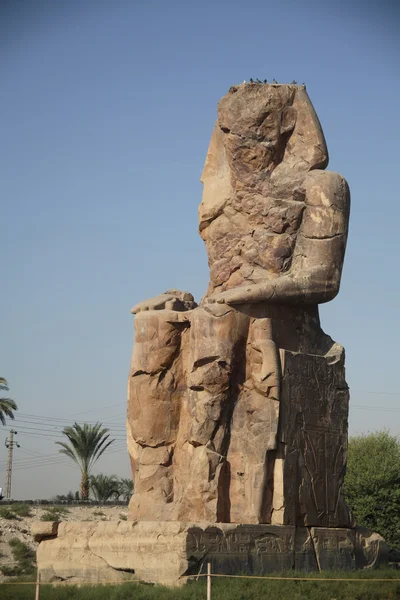 Mısır serisi (heykel - şu) — Stok fotoğraf