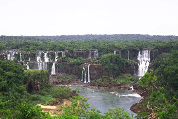 stock image Iguassu (Iguazu, Igua)