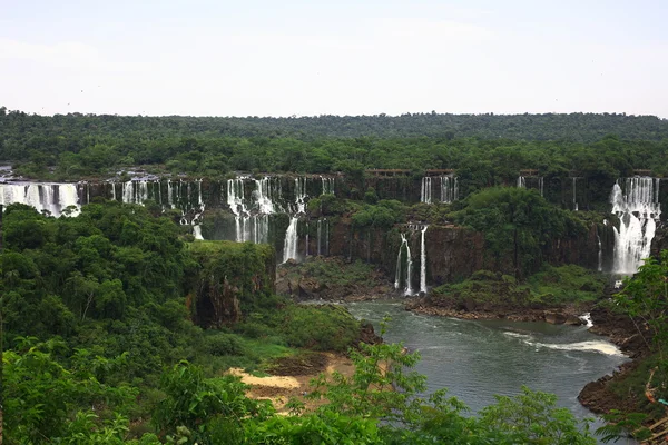stock image Iguassu (Iguazu; Igua