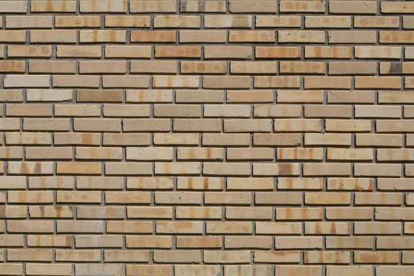 Brick Texture — Stock Photo, Image