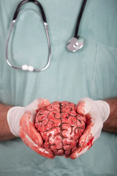 stock image Male Surgeon Holding Brain