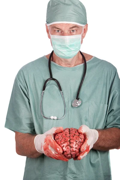 Cirurgião Masculino Segurando Cérebro — Fotografia de Stock