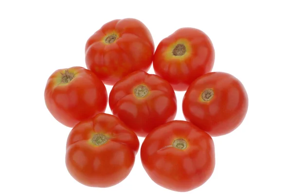 Güzel parlak beyaz domates izole — Stok fotoğraf